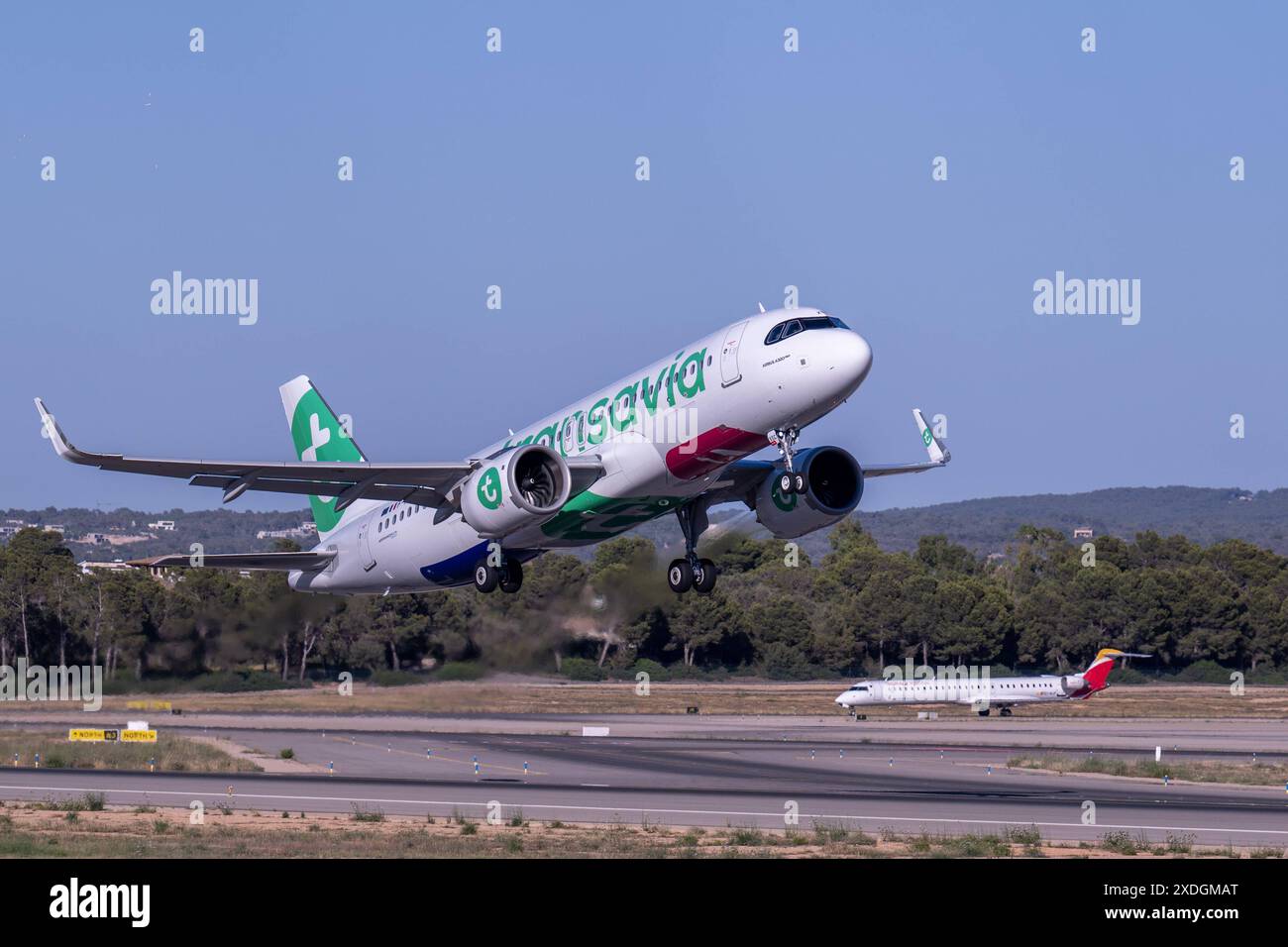 20240621 Palma de Majorque PALMA, ESPAGNE - 21 JUIN 2024 : F-HXSC TRANSAVIA FRANCE AIRBUS A320NEO at - Palma de Majorque le 21 juin 2024 à Palma, . Palma Baleares Espagne *** 20240621 Palma de Majorque PALMA, ESPAGNE 21 JUIN 2024 F HXSC TRANSAVIA FRANCE AIRBUS A320NEO à Palma de Majorque le 21 juin 2024 à Palma, Palma Baleares Espagne Banque D'Images
