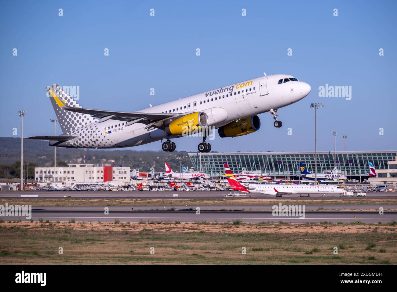 20240621 Palma de Majorque PALMA, ESPAGNE - 21 JUIN 2024 : EC-MJC VUELING AIRBUS A320-232WL AT - Palma de Majorque le 21 juin 2024 à Palma, . Palma Baleares Espagne *** 20240621 Palma de Majorque PALMA, ESPAGNE 21 JUIN 2024 EC MJC VUELING AIRBUS A320 232 WL à Palma de Majorque le 21 juin 2024 à Palma, Palma Baleares Espagne Banque D'Images