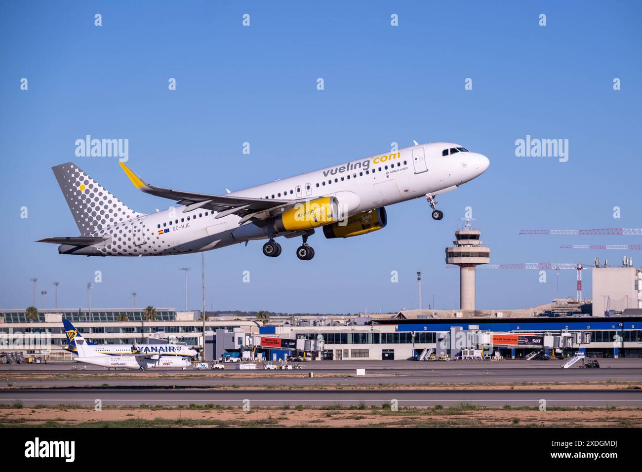 20240621 Palma de Majorque PALMA, ESPAGNE - 21 JUIN 2024 : EC-MJC VUELING AIRBUS A320-232WL AT - Palma de Majorque le 21 juin 2024 à Palma, . Palma Baleares Espagne *** 20240621 Palma de Majorque PALMA, ESPAGNE 21 JUIN 2024 EC MJC VUELING AIRBUS A320 232 WL à Palma de Majorque le 21 juin 2024 à Palma, Palma Baleares Espagne Banque D'Images