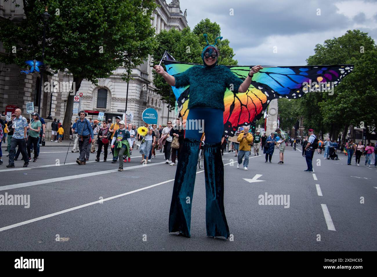 Londres, Royaume-Uni. 22 juin 2024. Un manifestant se tient debout sur pilotis habillé en papillon lors de la marche Restore nature Now dans le centre de Londres. Restore nature Now March des militants et des groupes environnementaux se sont réunis pour la plus grande marche pour la nature jamais vue. Crédit : SOPA images Limited/Alamy Live News Banque D'Images