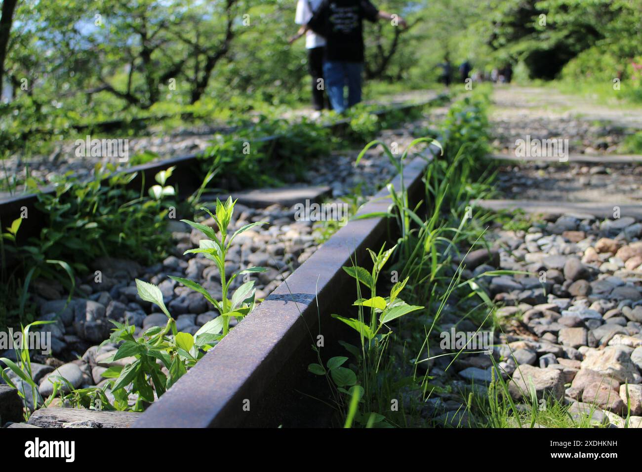 Keage incline (anciennes voies ferrées) à Kyoto, au Japon Banque D'Images