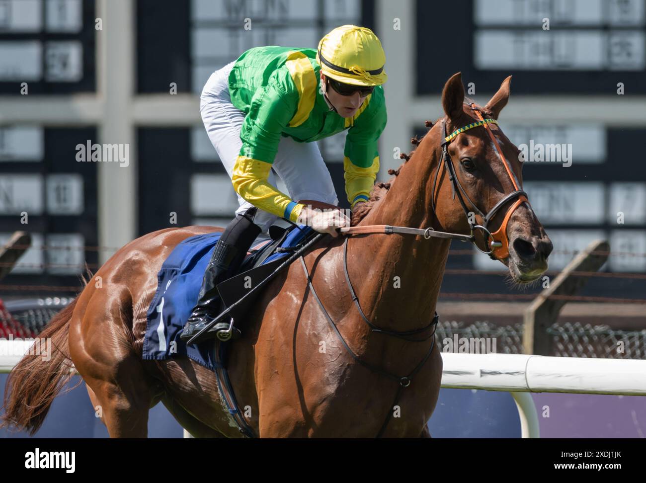 Pontefract, Royaume-Uni. Dimanche 23 juin 2024. Le Trooper Bisdee et Jack Gilligan remportent le Moor Top Farm Shop Hemsworth Pontefract Cup handicap Stakes, Pontefract, Royaume-Uni pour l'entraîneur Sir Mark Prescott BT et les propriétaires Mr & Mrs John Kelsey-Fry. Crédit JTW Equine images / Alamy Live News Banque D'Images