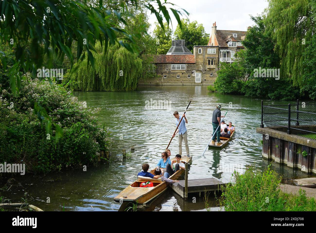 Punting sur la Cam près du Old Granary, Darwin College, Cambridge Banque D'Images