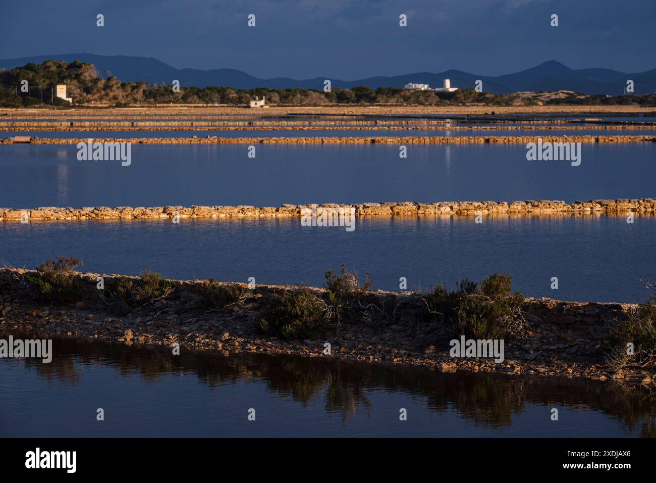 Parc naturel de ses Salines d’Eivissa i Formentera, Formentera, Iles Pitiusas, Communauté des Baléares, Espagne Banque D'Images