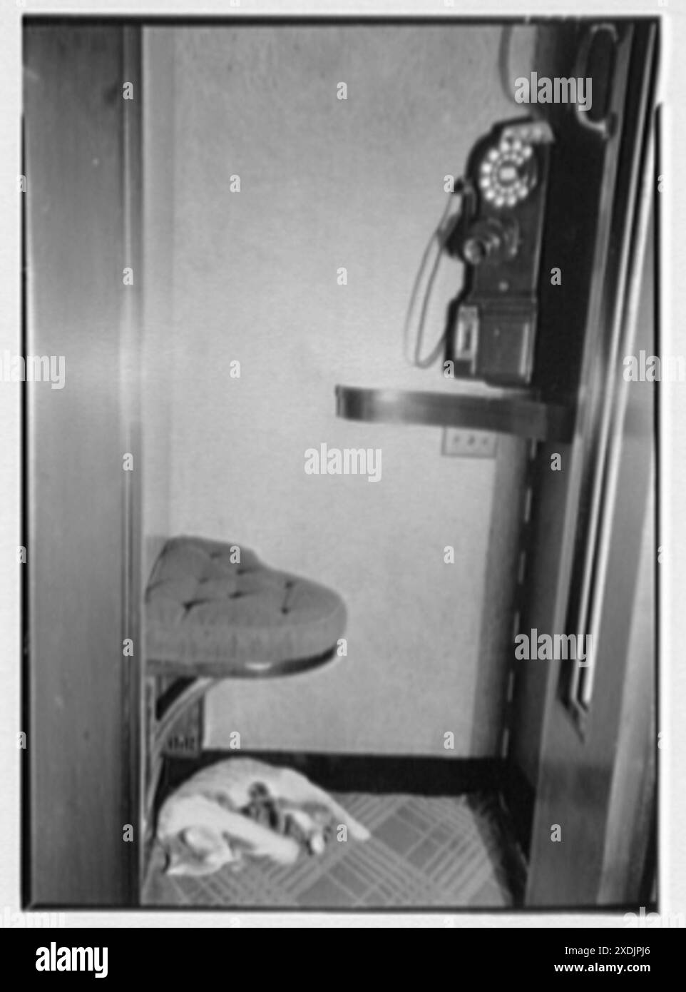 International Music Hall, Radio City, New York, New York. Chat avec des chatons dans la cabine téléphonique. Collection Gottscho-Schleisner Banque D'Images