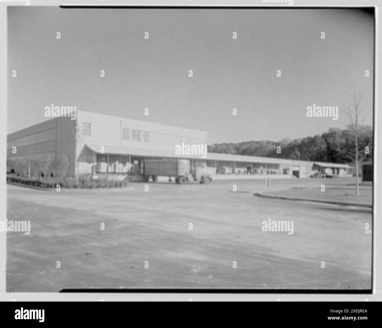 Helena Rubinstein, Inc., Roslyn, long Island. Fin d'expédition I. Collection Gottscho-Schleisner Banque D'Images