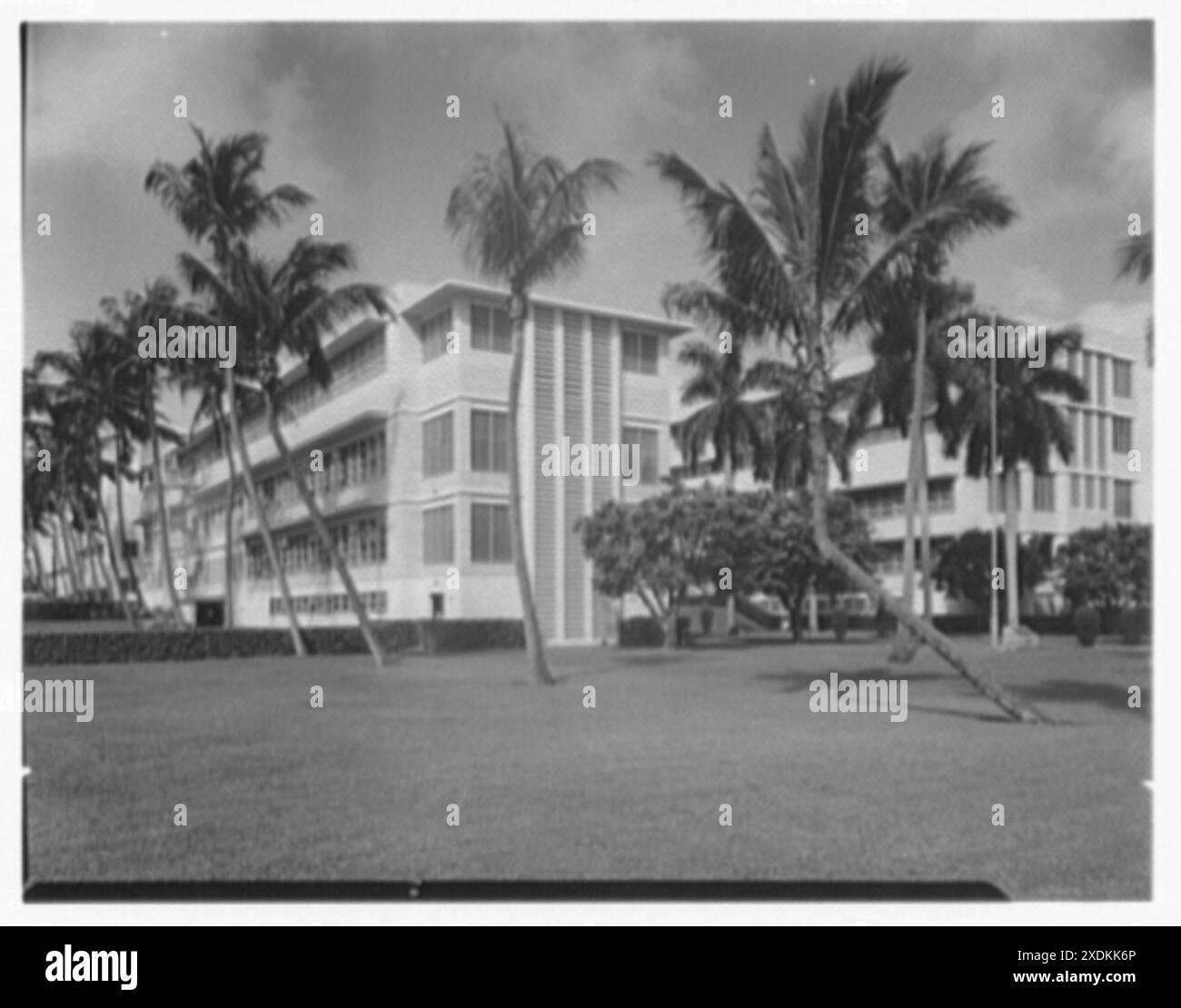 Hôpital Good Samaritan, West Palm Beach, Floride. Façades est et sud. Collection Gottscho-Schleisner Banque D'Images Hôpital Good Samaritan, West Palm Beach, Floride. Façades est et sud. Collection Gottscho-Schleisner Banque D'Images