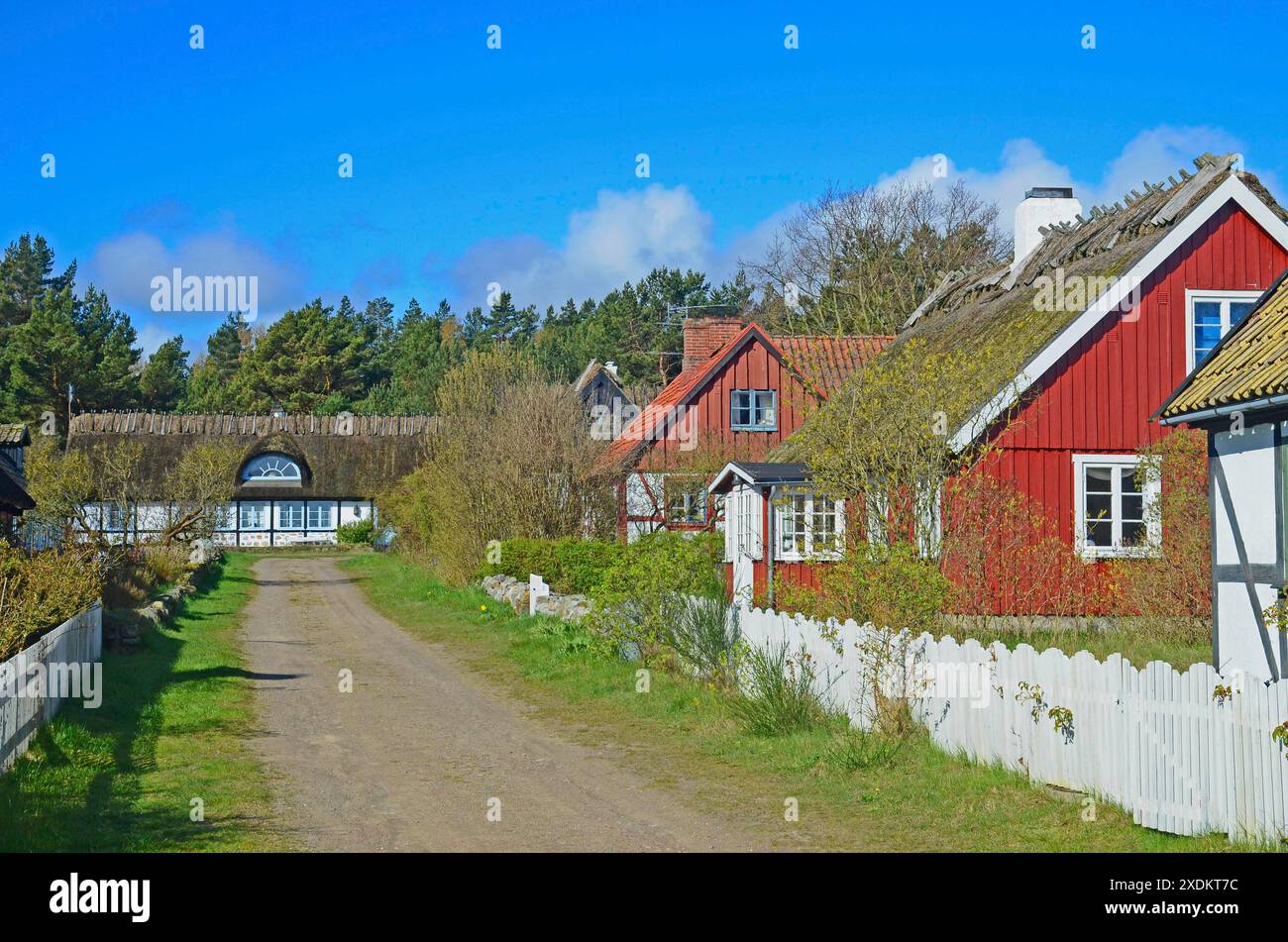 Rue à Knaebaeckshusen, un petit village de pêcheurs près de Roerum, municipalité de Simrishamn, comté de Skane, Suède, Scandinavie Banque D'Images