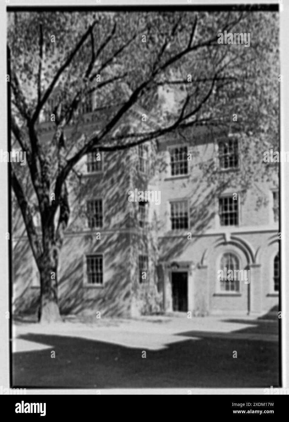 Silliman College, Yale University, New Haven, Connecticut. Détail de coin. Collection Gottscho-Schleisner Banque D'Images