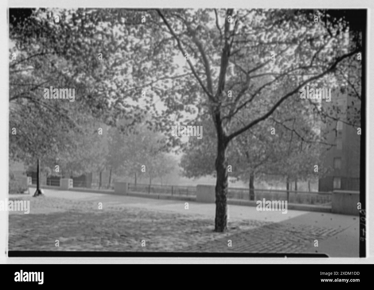 Harlem River Houses, 7e avenue et 152e espace pavé. Collection Gottscho-Schleisner Banque D'Images