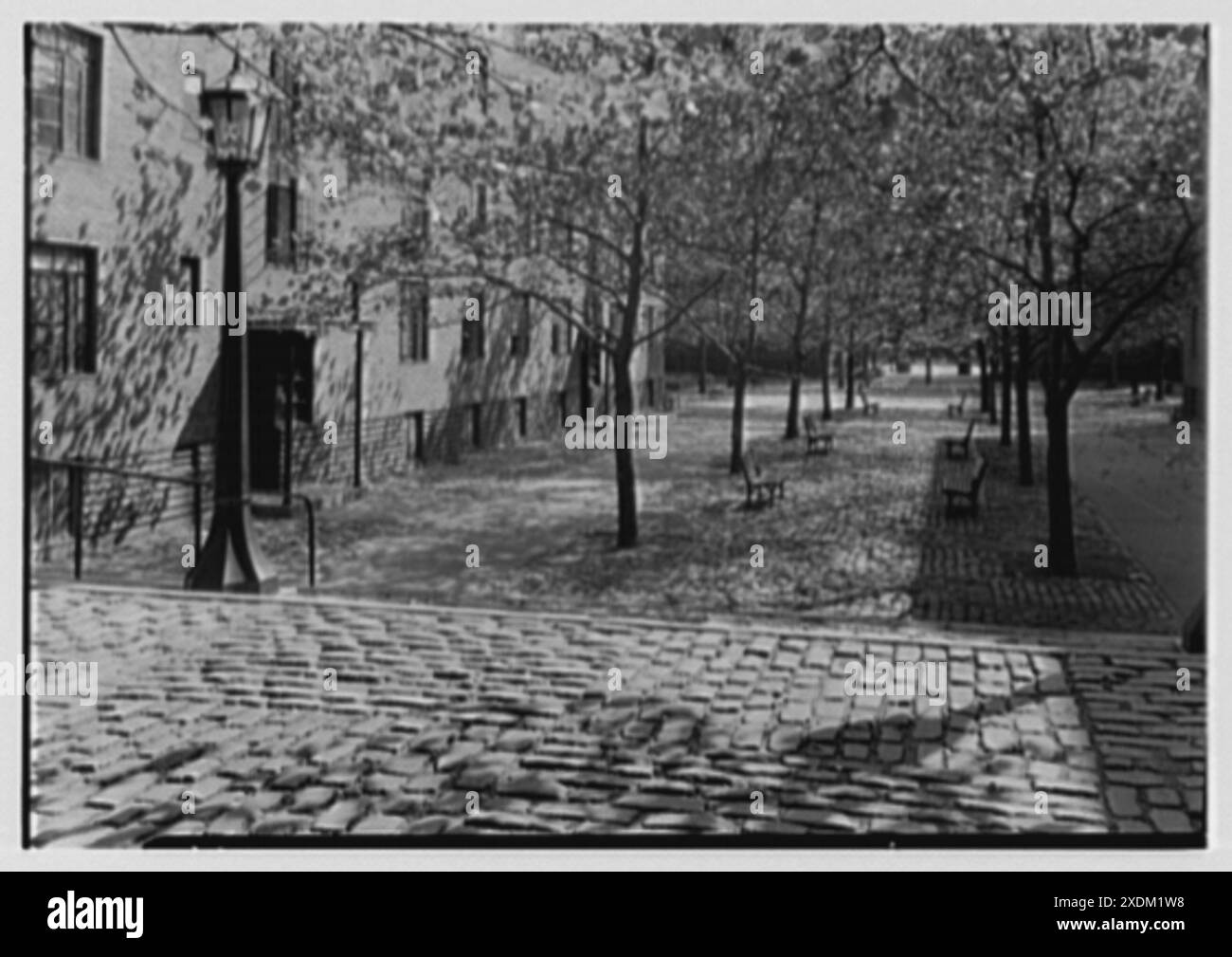 Harlem River Houses, 7e Avenue et 152e promenade pavée. Collection Gottscho-Schleisner Banque D'Images