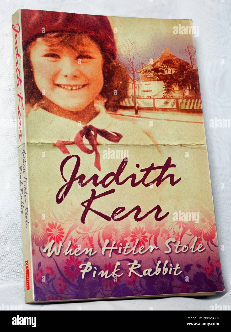 Quand Hitler a volé Pink Rabbit de Judith Kerr. Studio installé sur fond blanc Banque D'Images
