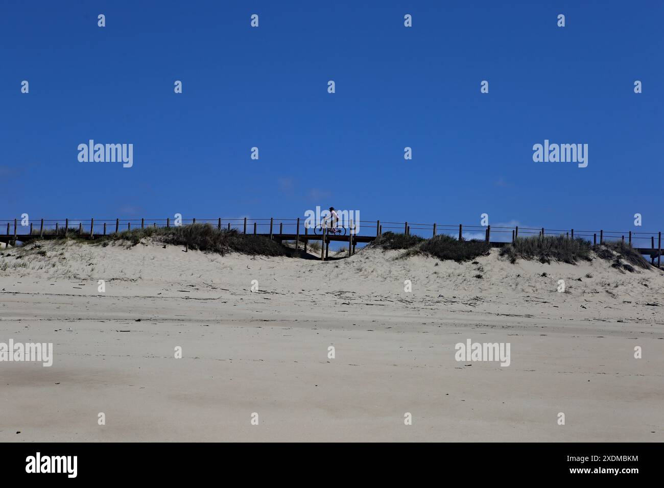 Espinho, Portugal - 26 mars 2023 : femme à vélo sur une promenade en bois qui s'étend sur des dunes de sable à une plage, sous un ciel bleu clair Banque D'Images