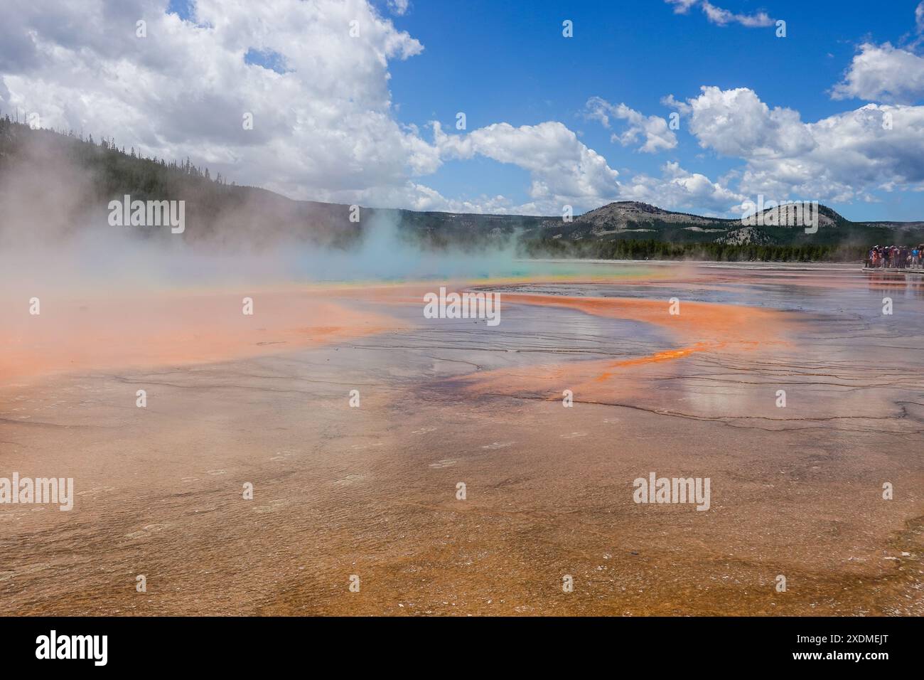 Visiteurs autour de la Grande source prismatique alors que la vapeur monte reflétant ses couleurs à Midway Geyser Basin, parc national de Yellowstone dans le Wyoming, États-Unis Banque D'Images