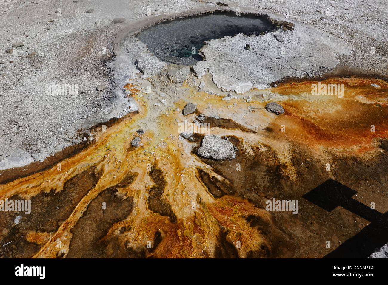 Geysers du parc national de Yellowstone Banque D'Images