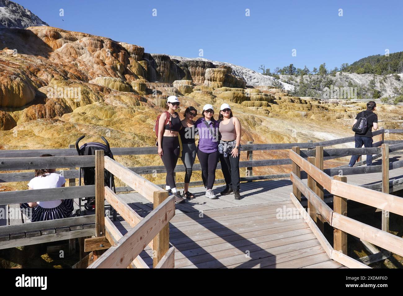 Groupe de touristes ayant une photo prise à Mammoth sources chaudes travertin terrasses. Parc national de Yellowstone , Wyoming , États-Unis Banque D'Images