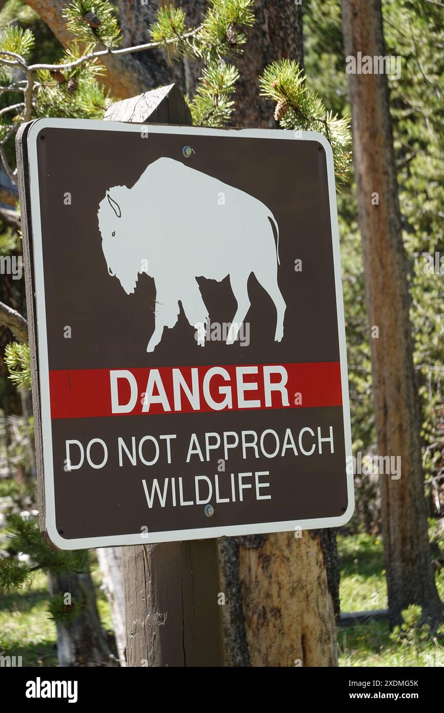 Danger ne vous approchez pas du panneau d'avertissement de la faune dans le parc national de Yellowstone . Wyoming , États-Unis Banque D'Images