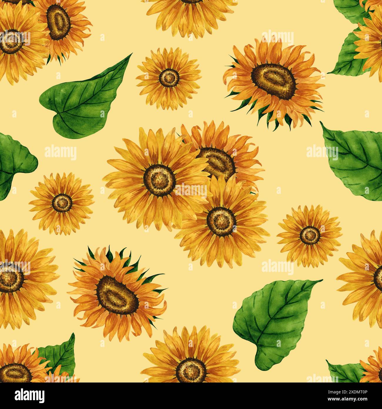 Motif aquarelle tournesol sans couture. Fond floral avec des fleurs jaunes. Composition florale estivale. Arrangement de fleurs d'automne. botani dessiné à la main Banque D'Images