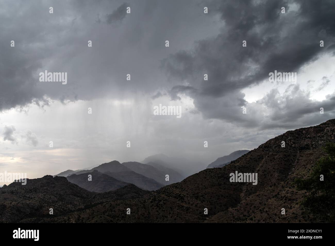 Pluie dans les hautes altitudes des montagnes Santa Catalina Banque D'Images