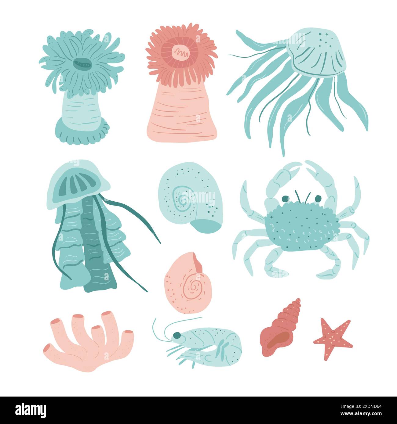 Illustrations colorées et simplifiées de la vie marine, notamment anémones de mer, méduses, mollusques, crabes, coraux, crevettes et étoiles de mer. Ensemble dessiné à la main de vecteur Illustration de Vecteur