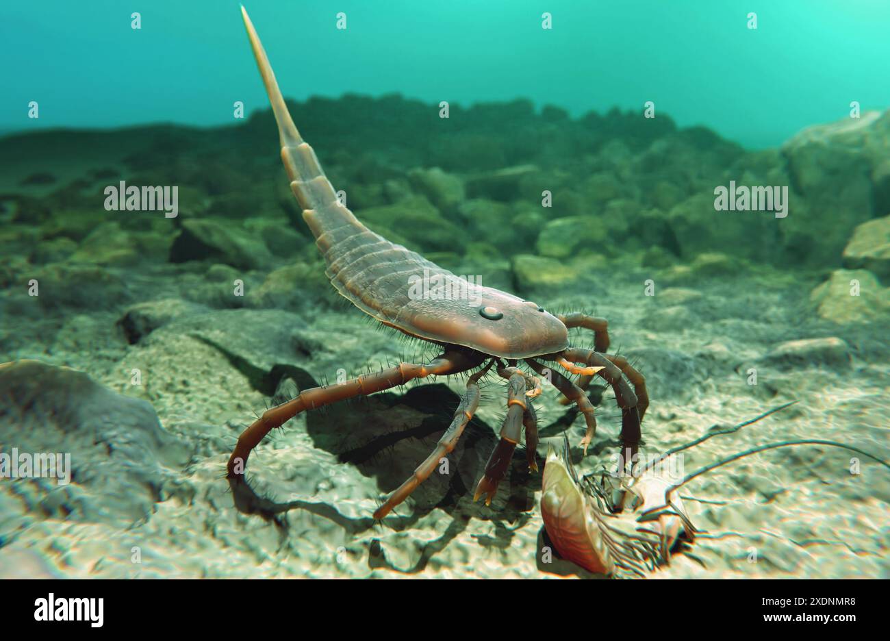 Une illustration de l'euryptéridé éteint Kokomopterus récupérant un trilobite mort sur un fond marin silurien il y a 418 millions d'années. Banque D'Images