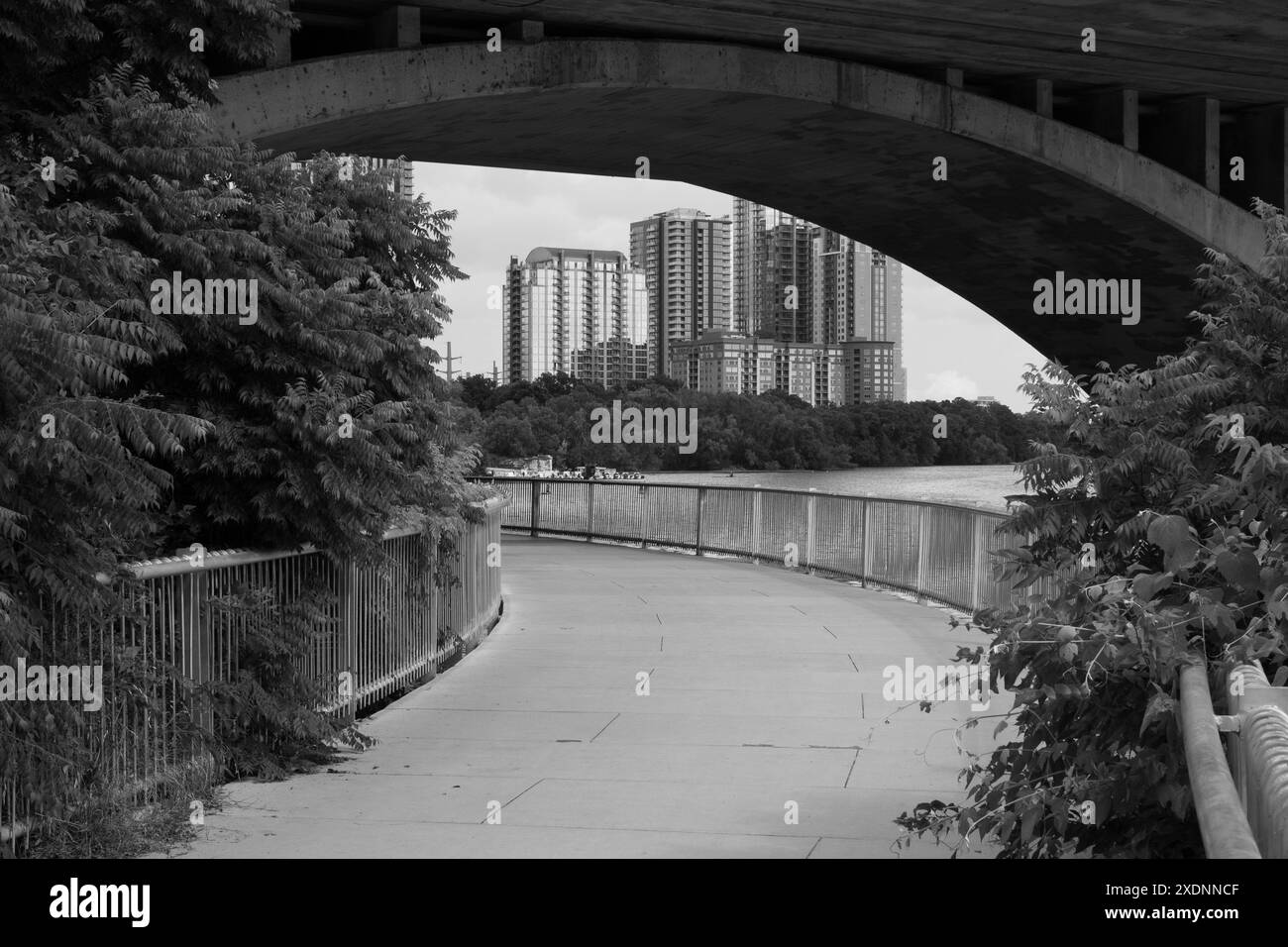 Le sentier urbain comporte un sentier piétonnier en béton qui courbe gracieusement le long du bord du lac Lady Bird à Austin, au Texas. Banque D'Images