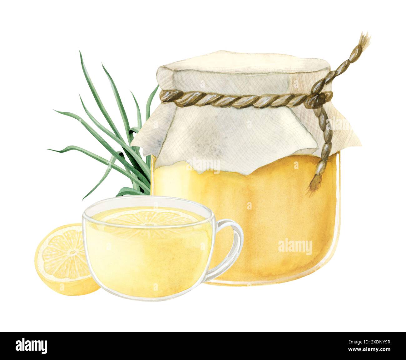 Pot de miel en verre avec tisane, citron et citronnelle illustration aquarelle clipart. Produits naturels pour boissons chaudes Banque D'Images
