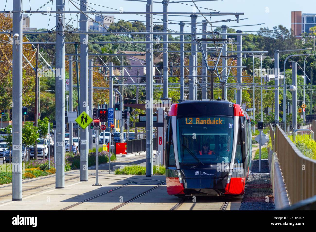 Le système de tramway léger L2 sur Alison Road à Randwick, Sydney, Australie. Le secteur du système de métro léger L2 vu ici va au quartier des affaires de Sydney. Banque D'Images