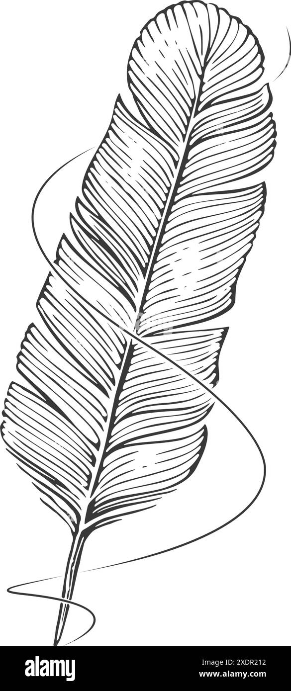 Stylo plume et ligne d'encre. Esquisse vectorielle clipart. Dessin vintage dessiné à la main Illustration de Vecteur
