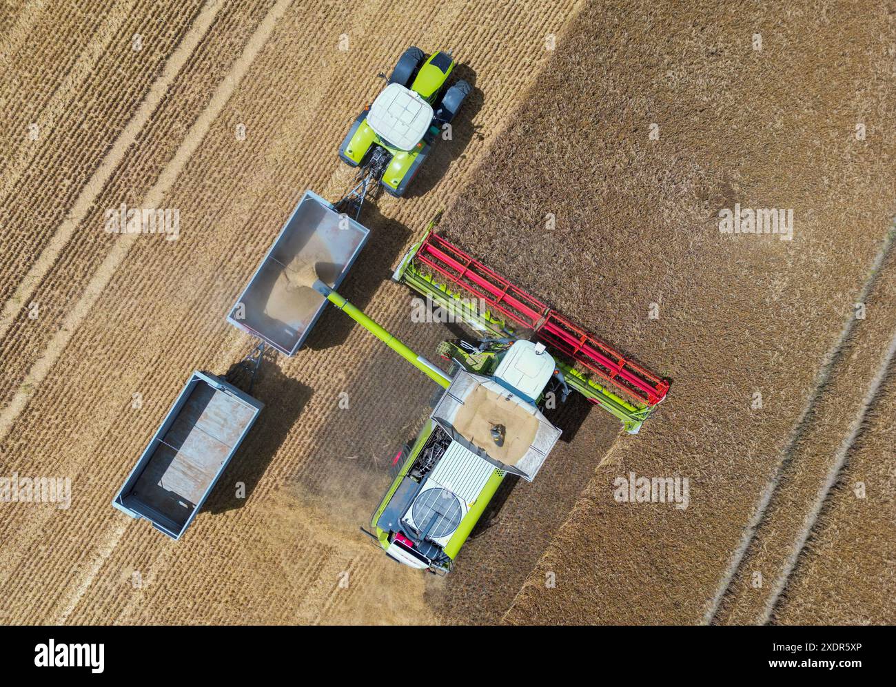 24 juin 2024, Brandebourg, Francfort (Oder) : un agriculteur récolte de l'orge avec sa moissonneuse-batteuse dans un champ dans l'est du Brandebourg (photo aérienne prise avec un drone). La récolte des céréales commence lentement dans les champs allemands, et de nombreux agriculteurs espèrent plus de soleil. Lors de la Journée des agriculteurs allemands ce mercredi et jeudi à Cottbus (Brandebourg), l'accent sera mis principalement sur les conditions-cadres politiques. L’accent sera mis sur le soulagement que le gouvernement de coalition a promis au secteur indigné comme compensation pour le démantèlement des concessions de diesel agricole de longue date. Phot Banque D'Images
