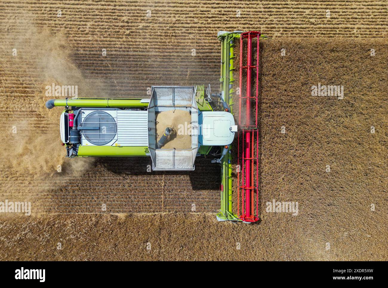 24 juin 2024, Brandebourg, Francfort (Oder) : un agriculteur récolte de l'orge avec sa moissonneuse-batteuse dans un champ dans l'est du Brandebourg (photo aérienne prise avec un drone). La récolte des céréales commence lentement dans les champs allemands, et de nombreux agriculteurs espèrent plus de soleil. Lors de la Journée des agriculteurs allemands ce mercredi et jeudi à Cottbus (Brandebourg), l'accent sera mis principalement sur les conditions-cadres politiques. L’accent sera mis sur le soulagement que le gouvernement de coalition a promis au secteur indigné comme compensation pour le démantèlement des concessions de diesel agricole de longue date. Phot Banque D'Images