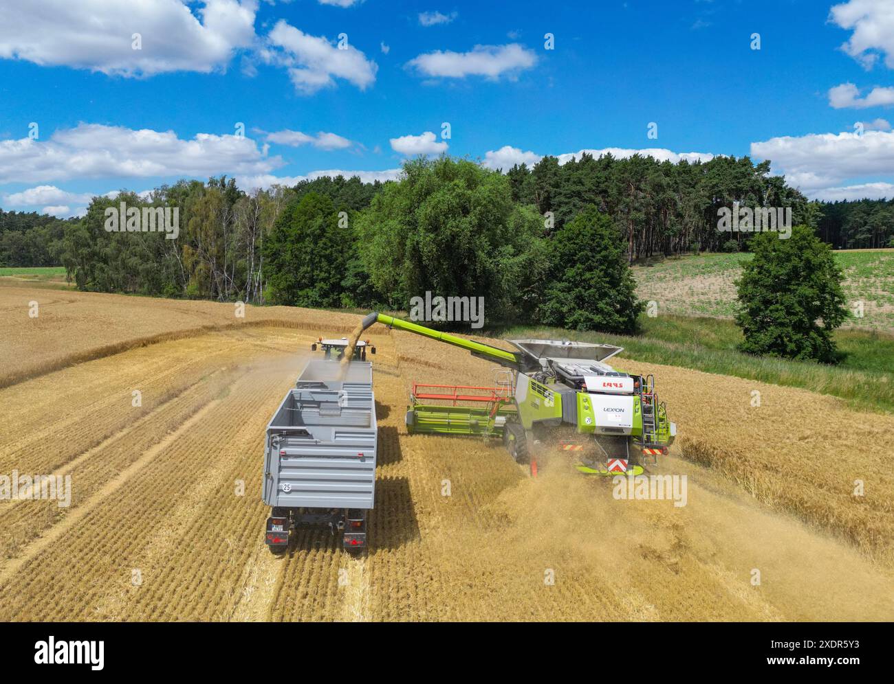 24 juin 2024, Brandebourg, Francfort (Oder) : un agriculteur récolte de l'orge avec sa moissonneuse-batteuse dans un champ dans l'est du Brandebourg (photo aérienne prise avec un drone). La récolte des céréales commence lentement dans les champs allemands, et de nombreux agriculteurs espèrent plus de soleil. Lors de la Journée des agriculteurs allemands ce mercredi et jeudi à Cottbus (Brandebourg), l'accent sera mis principalement sur les conditions-cadres politiques. L’accent sera mis sur le soulagement que le gouvernement de coalition a promis au secteur indigné comme compensation pour le démantèlement des concessions de diesel agricole de longue date. Phot Banque D'Images