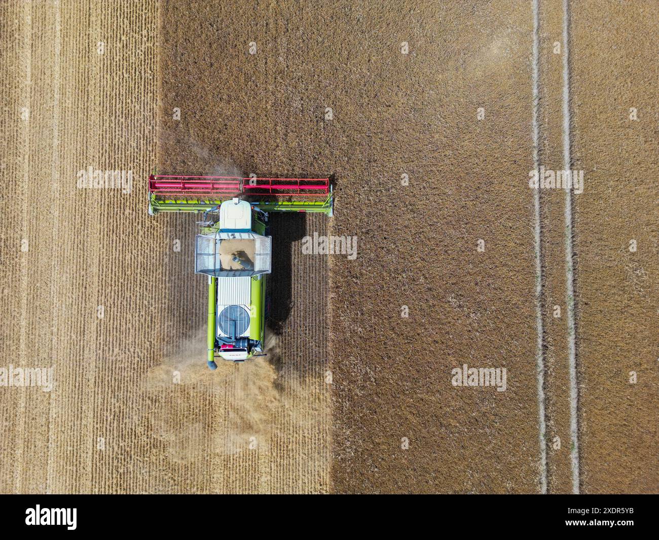 24 juin 2024, Brandebourg, Francfort (Oder) : un agriculteur récolte de l'orge avec sa moissonneuse-batteuse dans un champ dans l'est du Brandebourg (photo aérienne prise avec un drone). La récolte des céréales commence lentement dans les champs allemands, et de nombreux agriculteurs espèrent plus de soleil. Lors de la Journée des agriculteurs allemands ce mercredi et jeudi à Cottbus (Brandebourg), l'accent sera mis principalement sur les conditions-cadres politiques. L’accent sera mis sur le soulagement que le gouvernement de coalition a promis au secteur indigné comme compensation pour le démantèlement des concessions de diesel agricole de longue date. Phot Banque D'Images