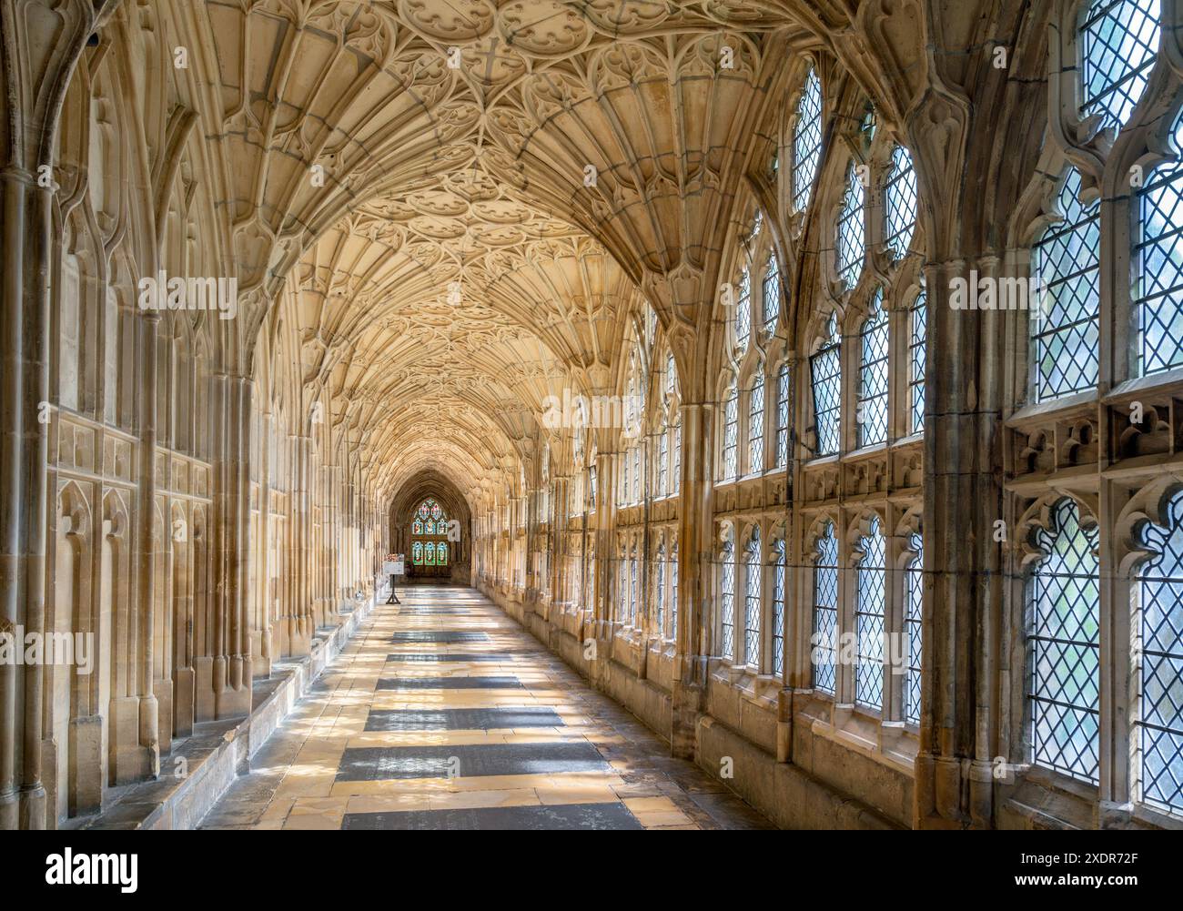 The Cloisters in Gloucester Cathedral, Gloucester, Gloucestershire, Angleterre, Royaume-Uni Banque D'Images