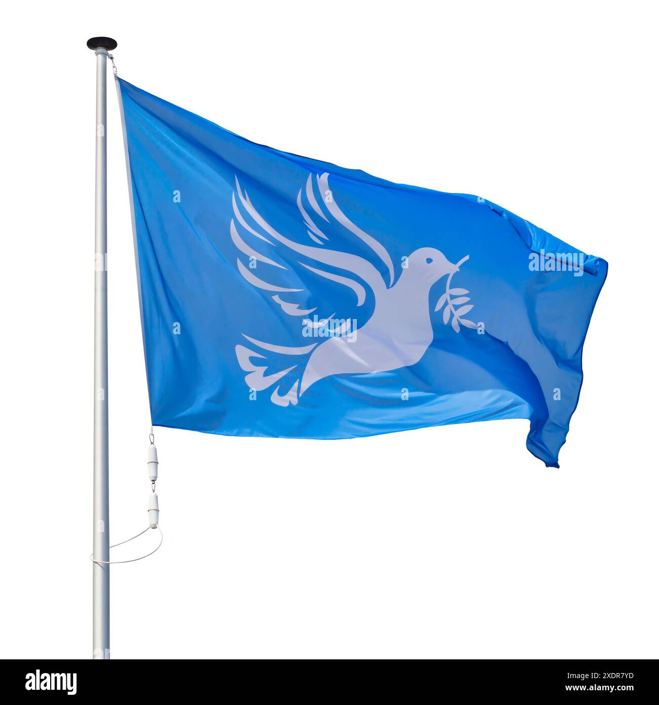 Agitant le drapeau de la paix bleu avec une colombe blanche tenant une branche d'olivier isolée sur un fond blanc Banque D'Images