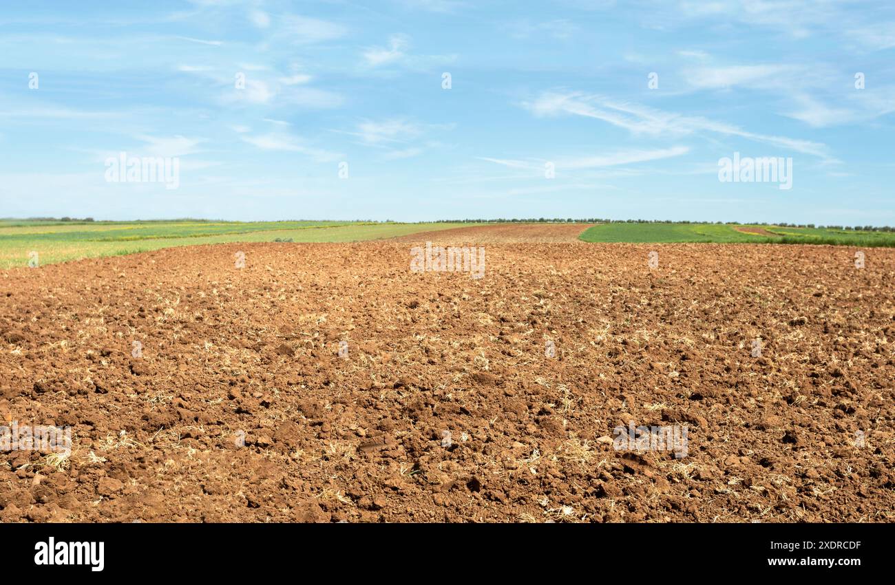 Terres agricoles fraîchement labourées. Les terres agricoles sont toutes déplacées et sillonnées. Il est prêt à être semé avec des graines. C'est une journée ensoleillée avec peu de nuages bleu ciel. Banque D'Images