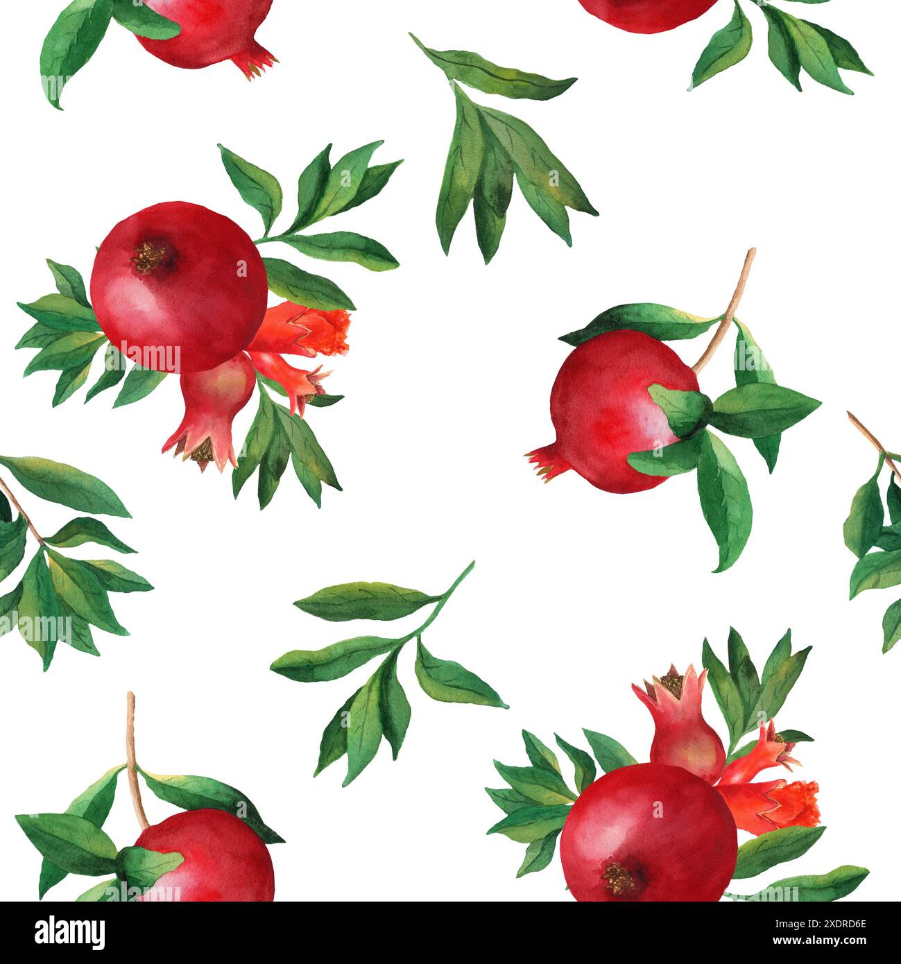 Modèle sans couture avec grenades, fleurs et feuilles. Illustration d'aquarelle faite à la main sur fond blanc. Pour le papier d'emballage, textile, papier peint, Banque D'Images