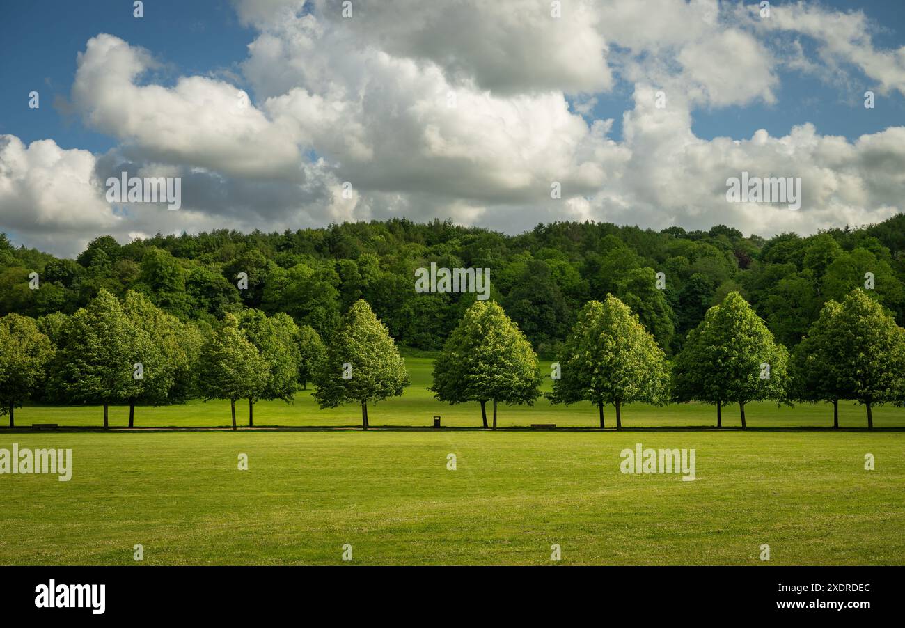 Priory Park à Reigate, Surrey, Royaume-Uni. Ce parc public se trouve à proximité du centre-ville de Reigate et comprend des bois, des zones herbeuses, un lac et des installations pour les visiteurs Banque D'Images