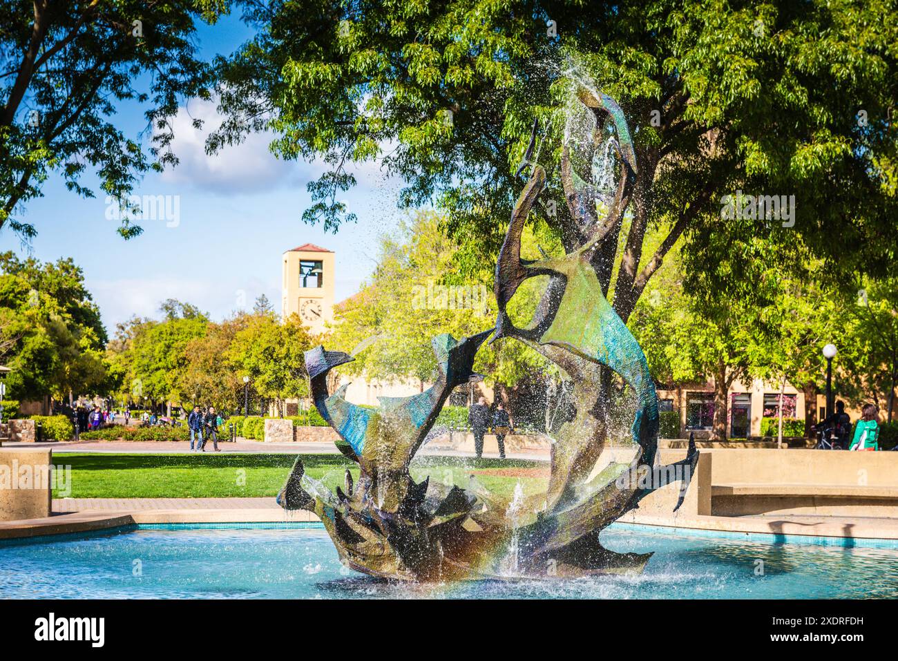 Stanford, Californie États-Unis - 22 mars 2017 : sauter en fontaine commence souvent à la fontaine Claw de l'Université de Stanford. Banque D'Images