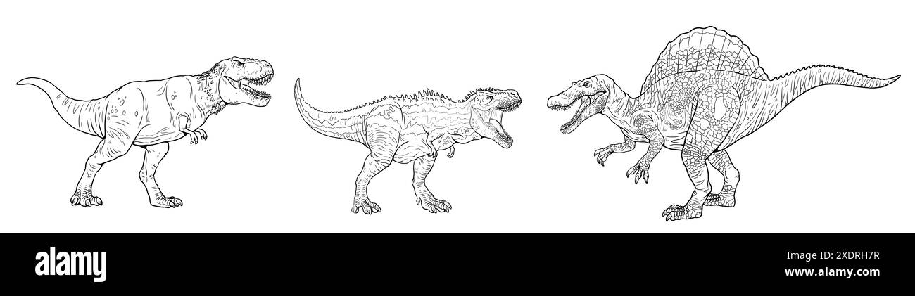 Modèle de livre de coloriage avec des dinosaures carnivores. Tyrannosaurus rex, Tarbosaurus et Spinosaurus. Banque D'Images