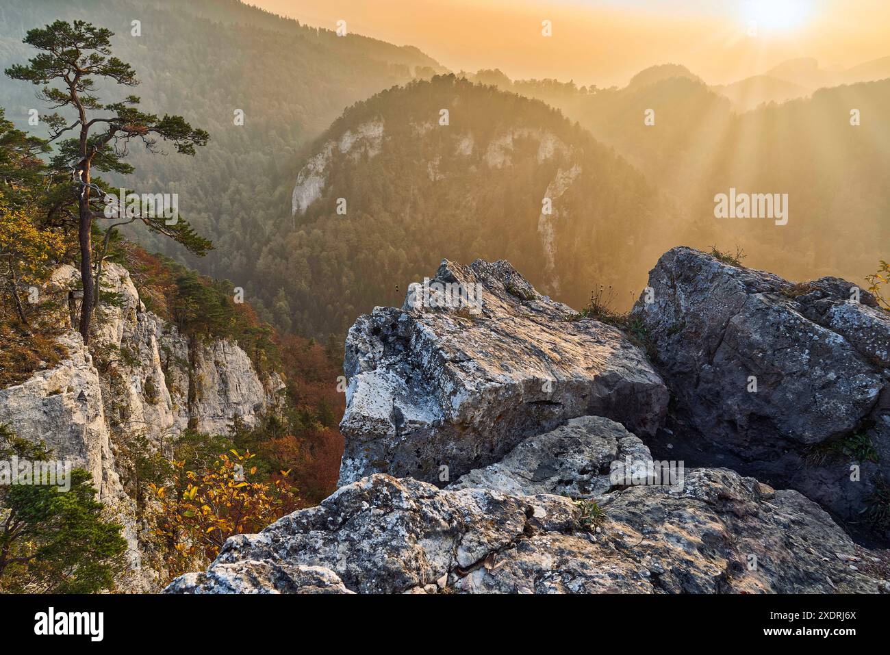 Suisse, Schwarzbubenland, Zullwil, Meltingen, Nunningen, Soleure, soirée d'automne, Portiflue, Güggelhof Banque D'Images