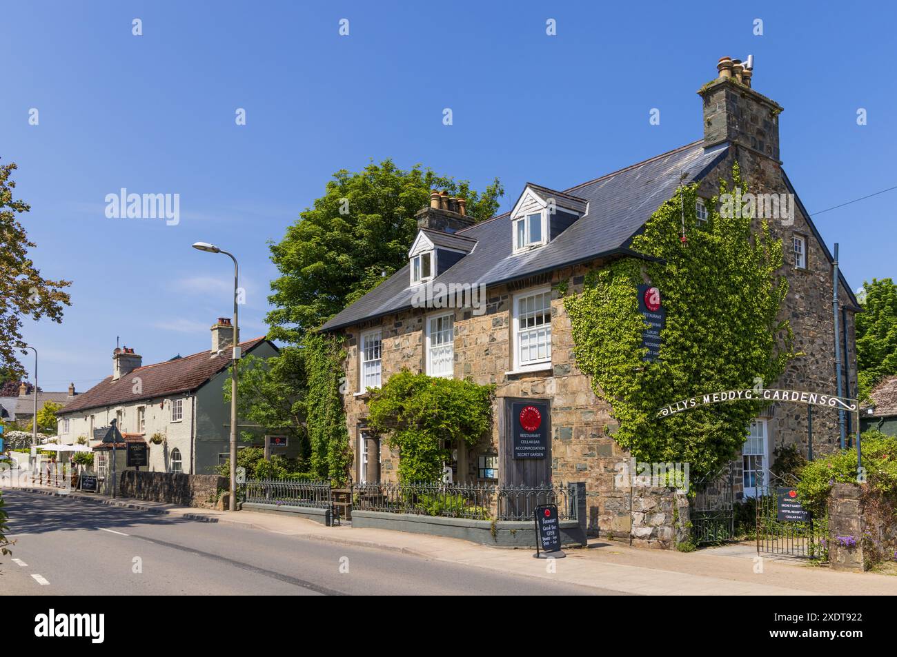 Hôtel et restaurant Llys Meddyg, avec la maison publique Golden Lion en arrière-plan. Newport, Pembrokewshire, pays de Galles. ROYAUME-UNI. Banque D'Images