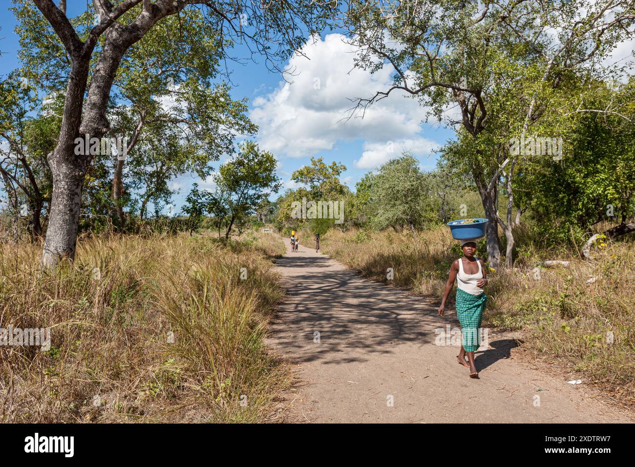 Mozambique, Sofala, Caia, Amambos, femme au village Banque D'Images