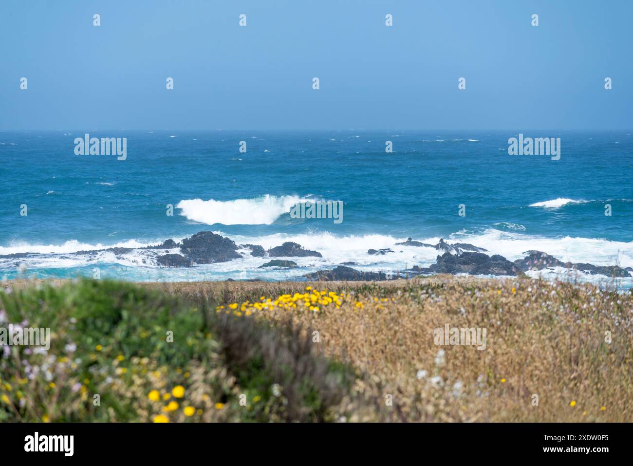 Vue d'au-dessus de Glass Beach. Fort Bragg, Californie. Banque D'Images