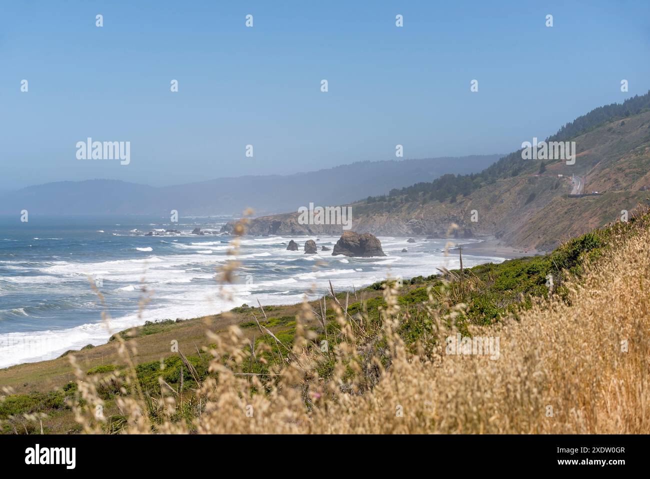 Paysage le long de la Highway 1 au nord de Fort Bragg dans le comté de Mendocino, Californie. Banque D'Images