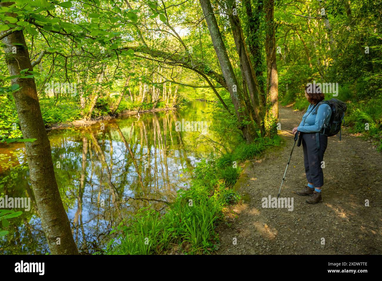 Marcher le long de la rivière Teign près de Stepps pont Devon Banque D'Images