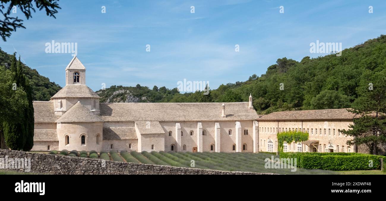 Gordes, France. Abbaye de Sénanque en Provence, photographiée avec des champs de lavande au premier plan. Banque D'Images