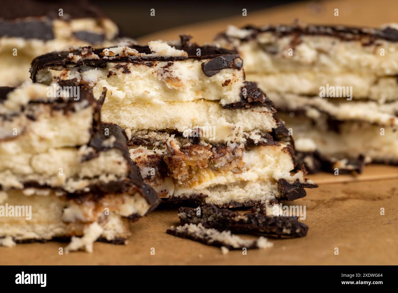 gâteau au fromage cottage avec des noix dans le chocolat, dessert sucré avec saveur de noisette Banque D'Images