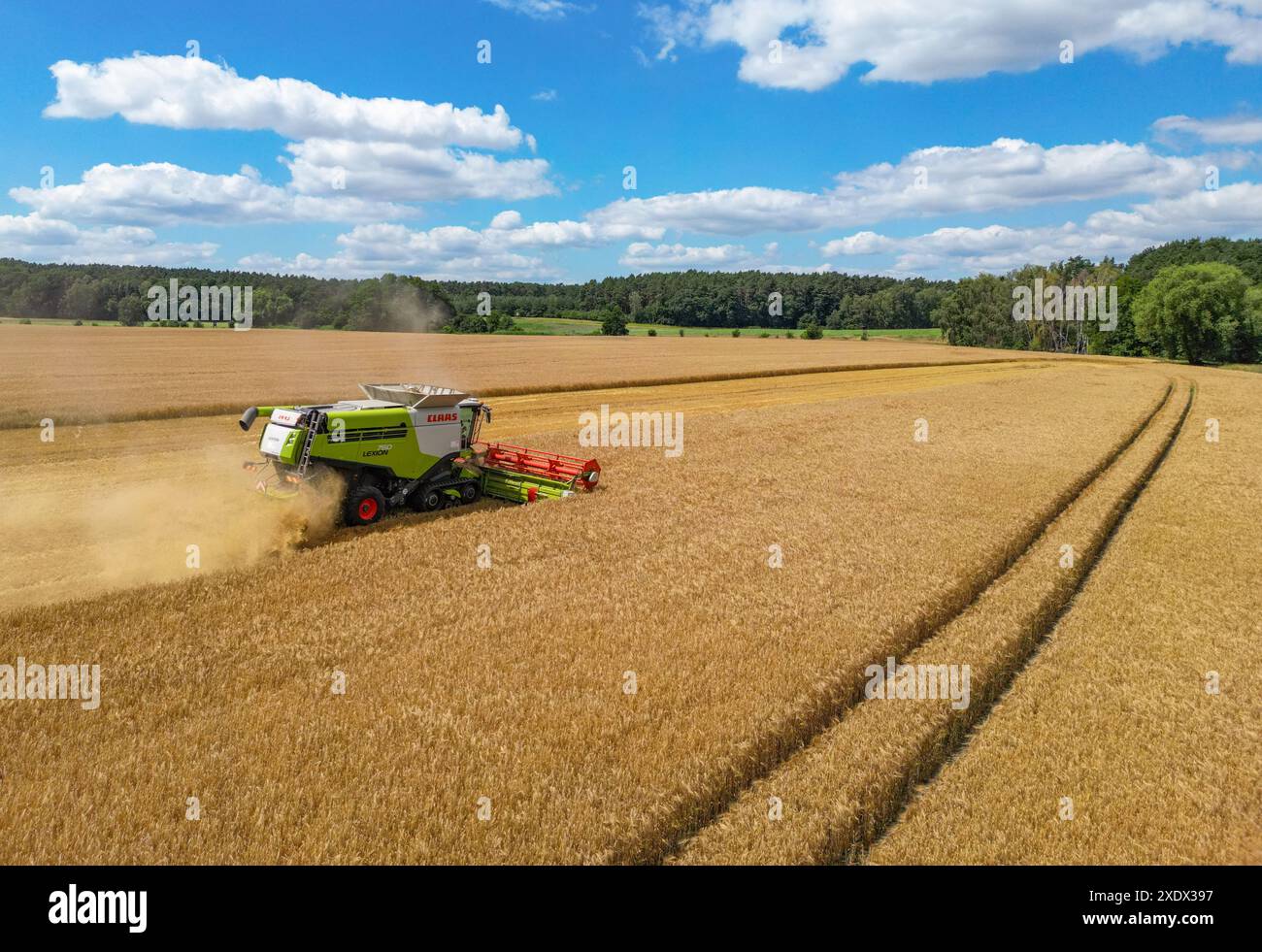 24 juin 2024, Brandebourg, Francfort (Oder) : un agriculteur récolte de l'orge avec sa moissonneuse-batteuse dans un champ dans l'est du Brandebourg (photo aérienne prise avec un drone). La récolte des céréales commence lentement dans les champs en Allemagne, et de nombreux agriculteurs espèrent encore plus de soleil. Photo : Patrick Pleul/dpa Banque D'Images
