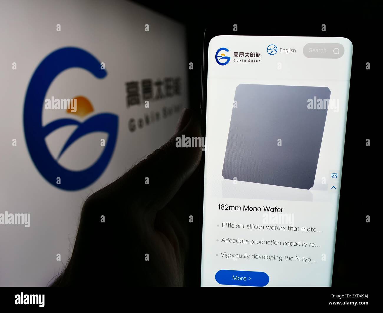 Personne tenant le téléphone portable avec la page Web de la société photovoltaïque chinoise Gokin Solar Co. Ltd devant le logo. Concentrez-vous sur le centre de l'écran du téléphone. Banque D'Images